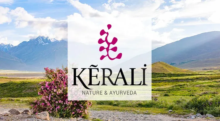 Soins ayurvédiques Kerali près de Blanquefort